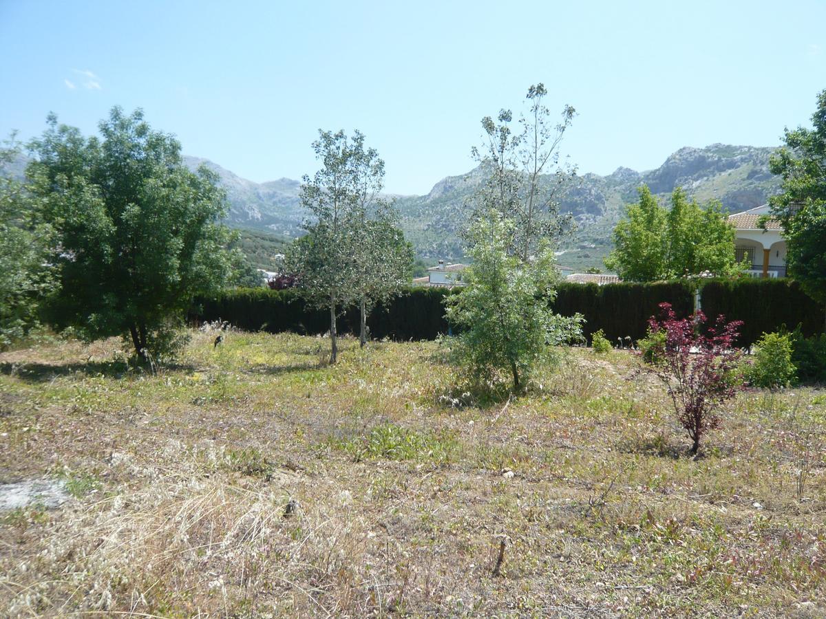 Venta Las Delicias Villanueva del Rosario Exteriér fotografie
